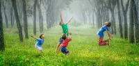 Four boy playing ball on green grass